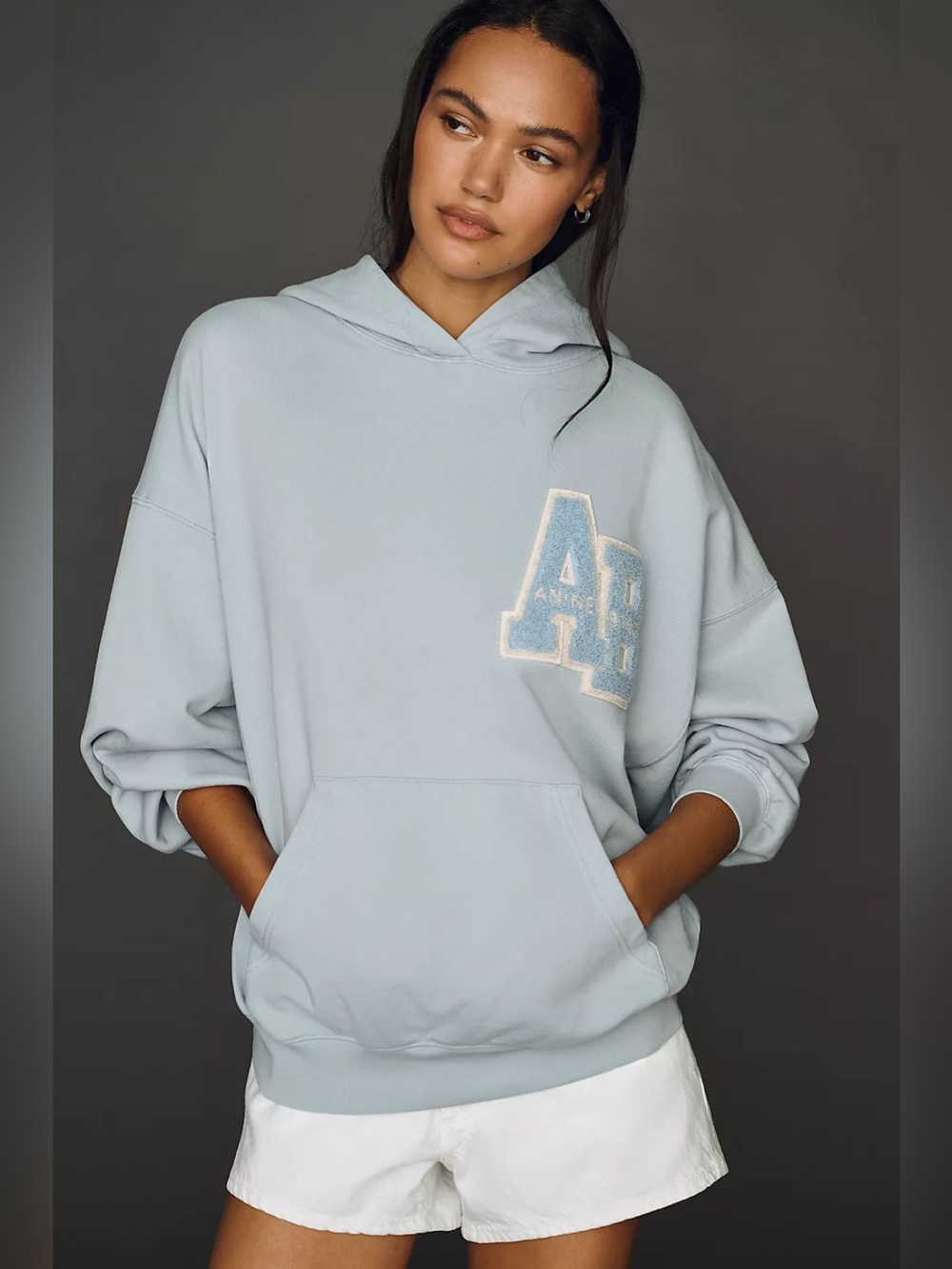 NWT Anine Bing Harvey 100% Cotton Hooded Sweatshirt